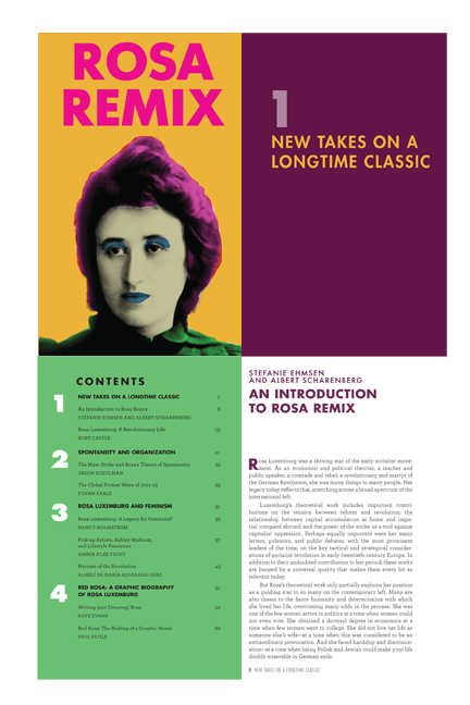 Rosa Remix published by the Rosa Luxemborg Institute Stiftung